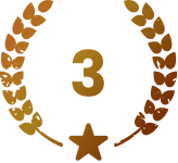 Rank 3 badge